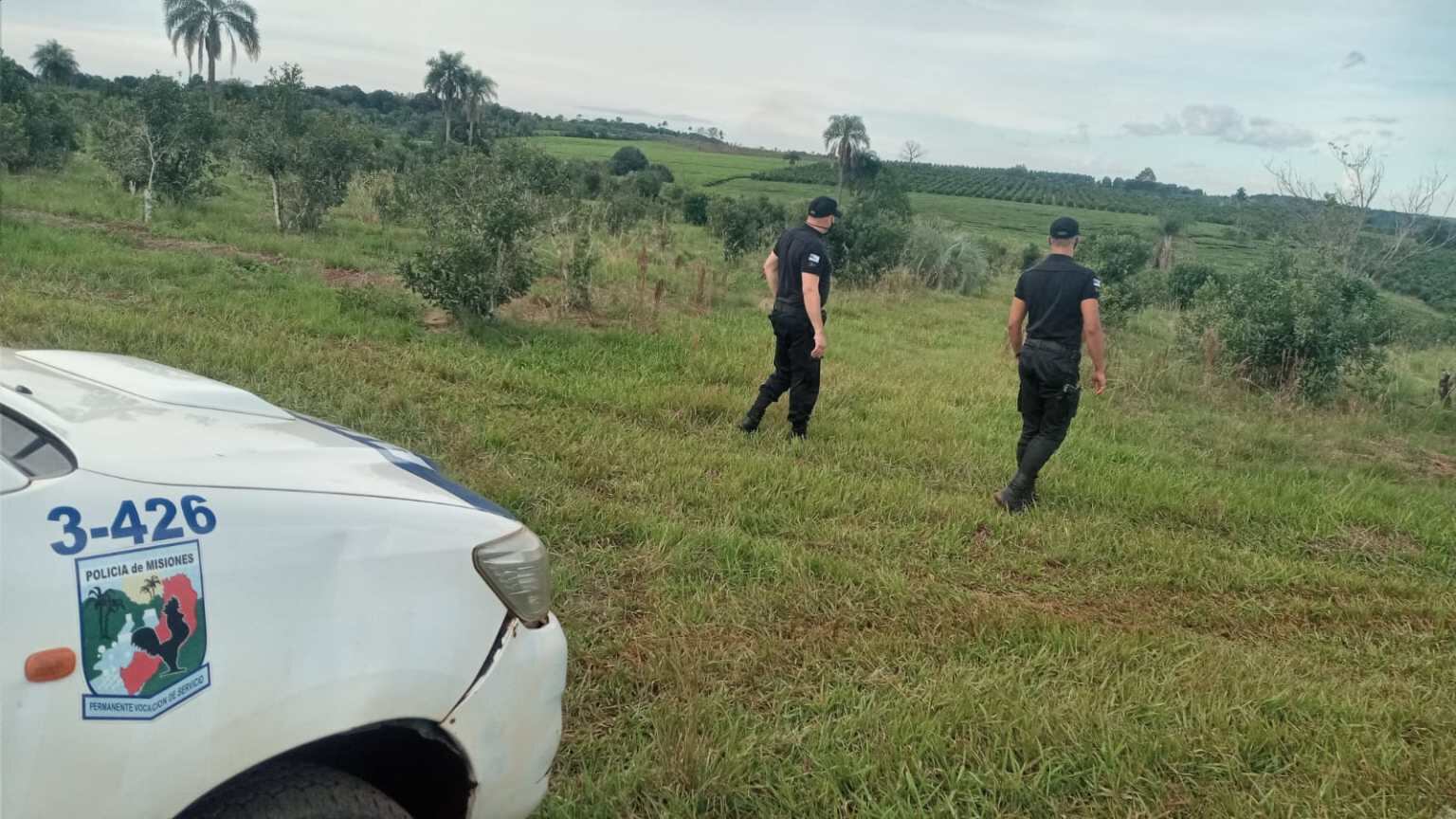 Tras un robo, recuperan 500 kilogramos de hoja verde en Campo Ramón.