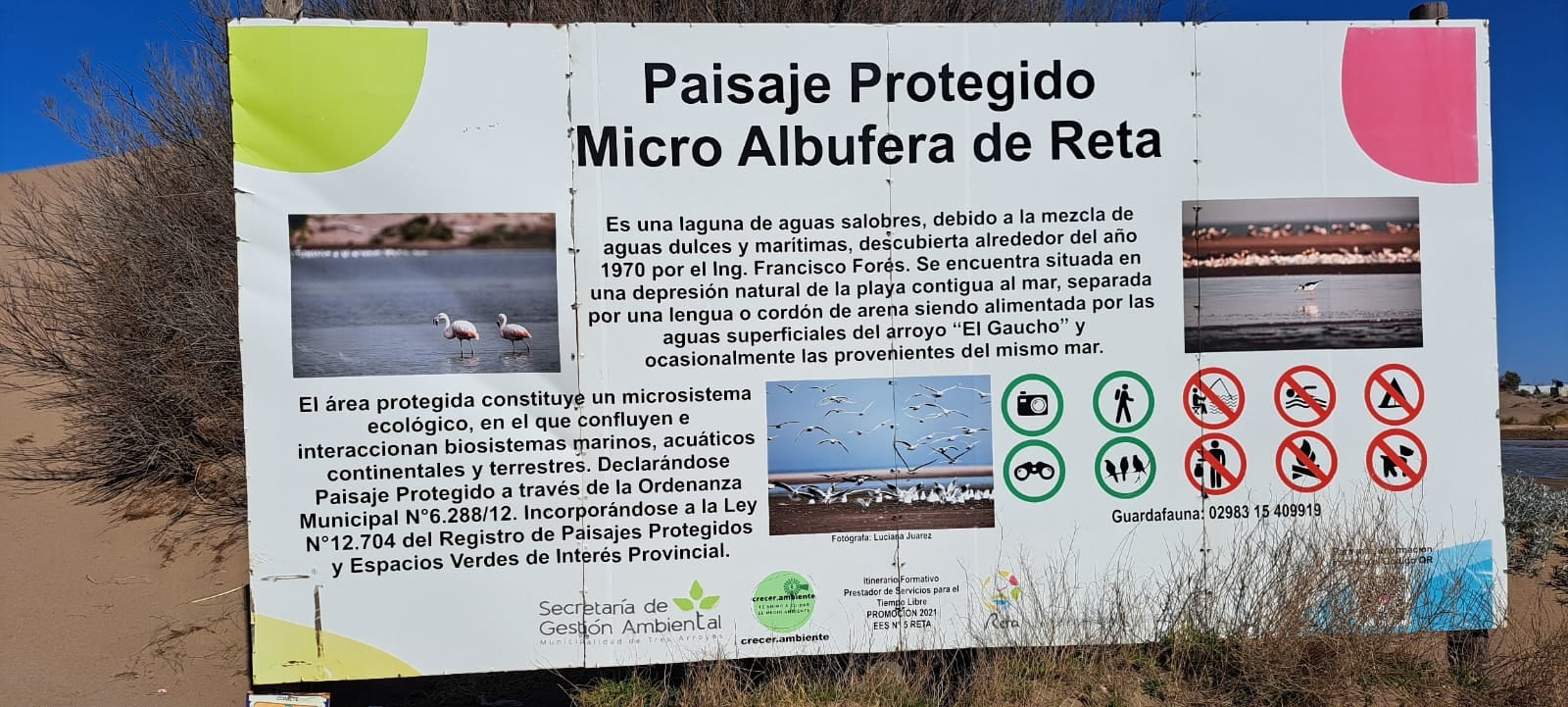 encuentran montículos de arena sosteniendo pilotes en una zona protegida de la albufera