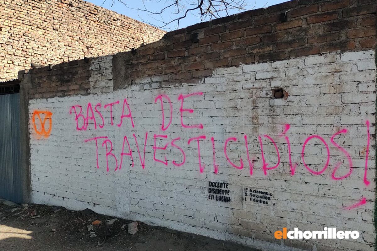 Pintadas en San Luis durante la marcha en el Encuentro Plurinacional de Mujeres.