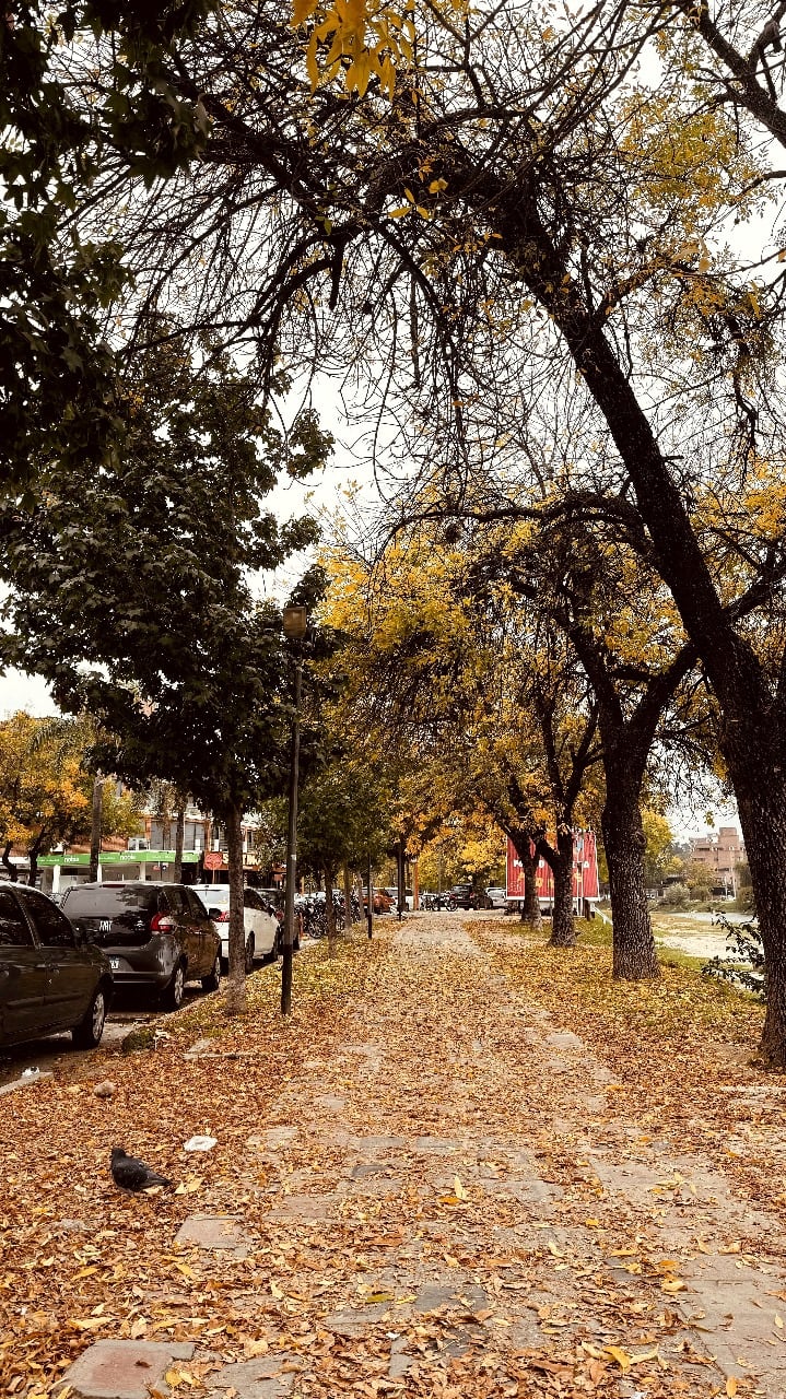 Otoño en Carlos Paz