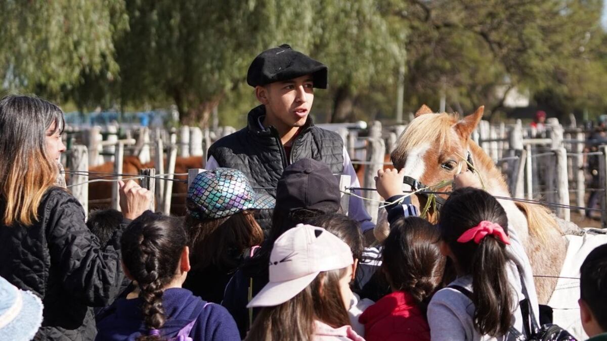 Expo Rural San Luis ya está en el ruedo entre remates y exposiciones