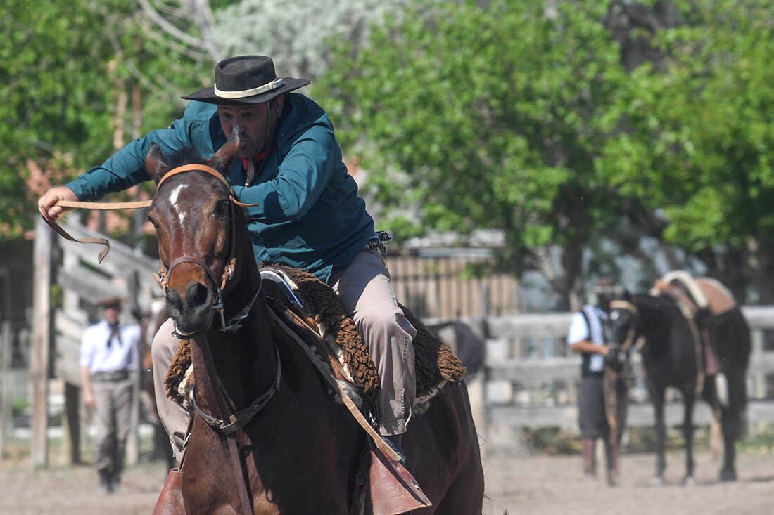 Mediante el Martín Fierro, José Hernández logró plasmar la vida del gaucho de aquellos años. Foto José Gutiérrez