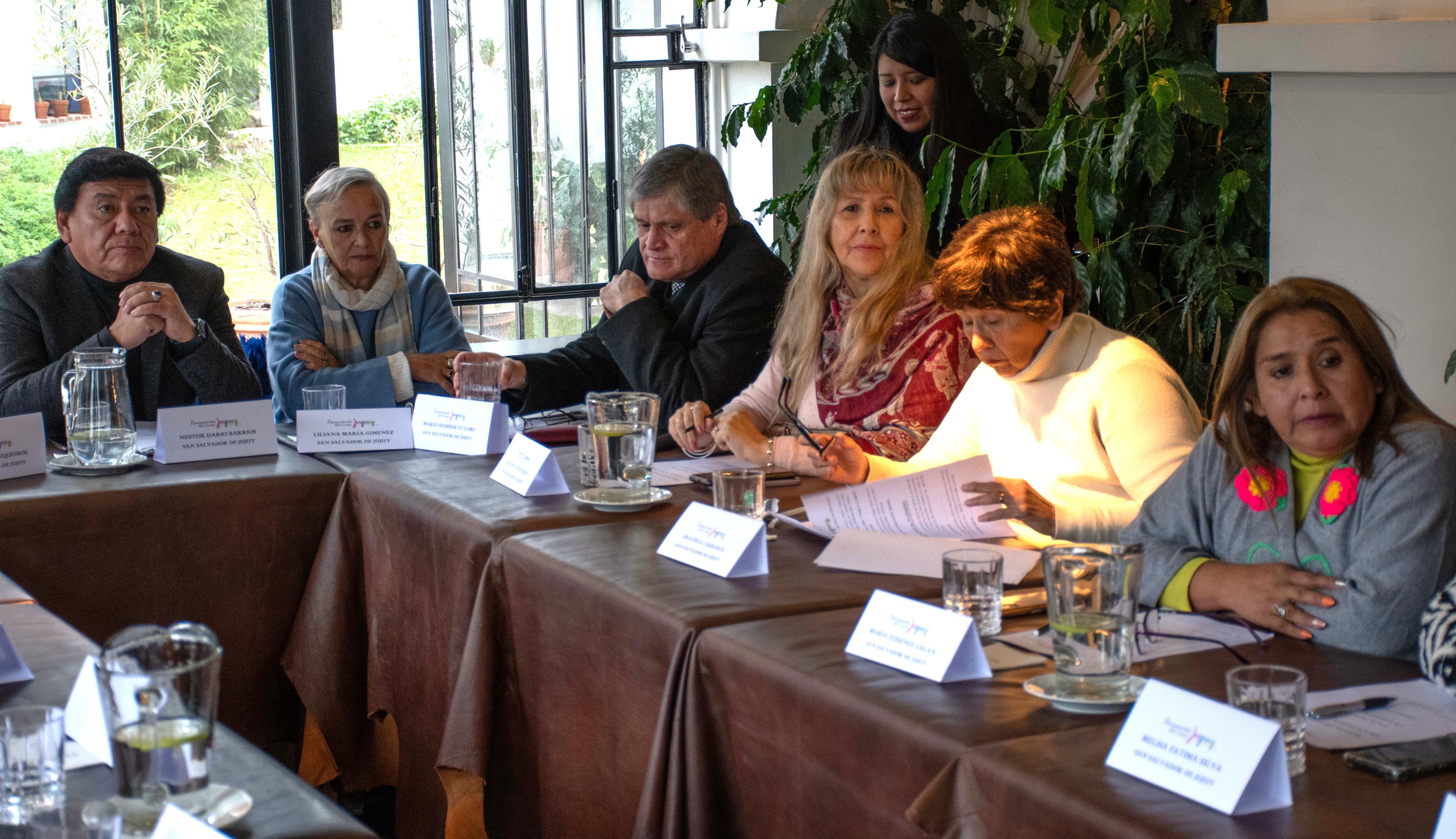 Parte de la comitiva legislativa capitalina, durante el debate del Parlamento del Gran Jujuy.