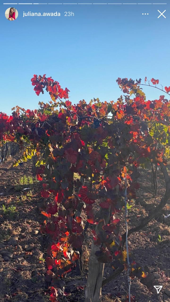 La diseñadora compartió postales de su estadia en Mendoza.