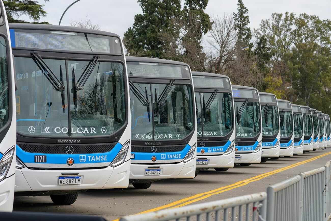 Ya son 210 los nuevos colectivos con los que cuenta Tamse, el 88 por ciento de su flota.