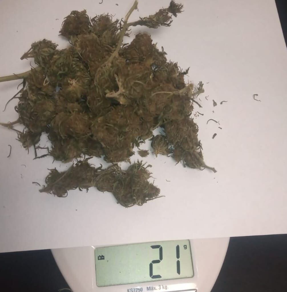 Secuestran Marihuana en un operativo policial en Tres Arroyos