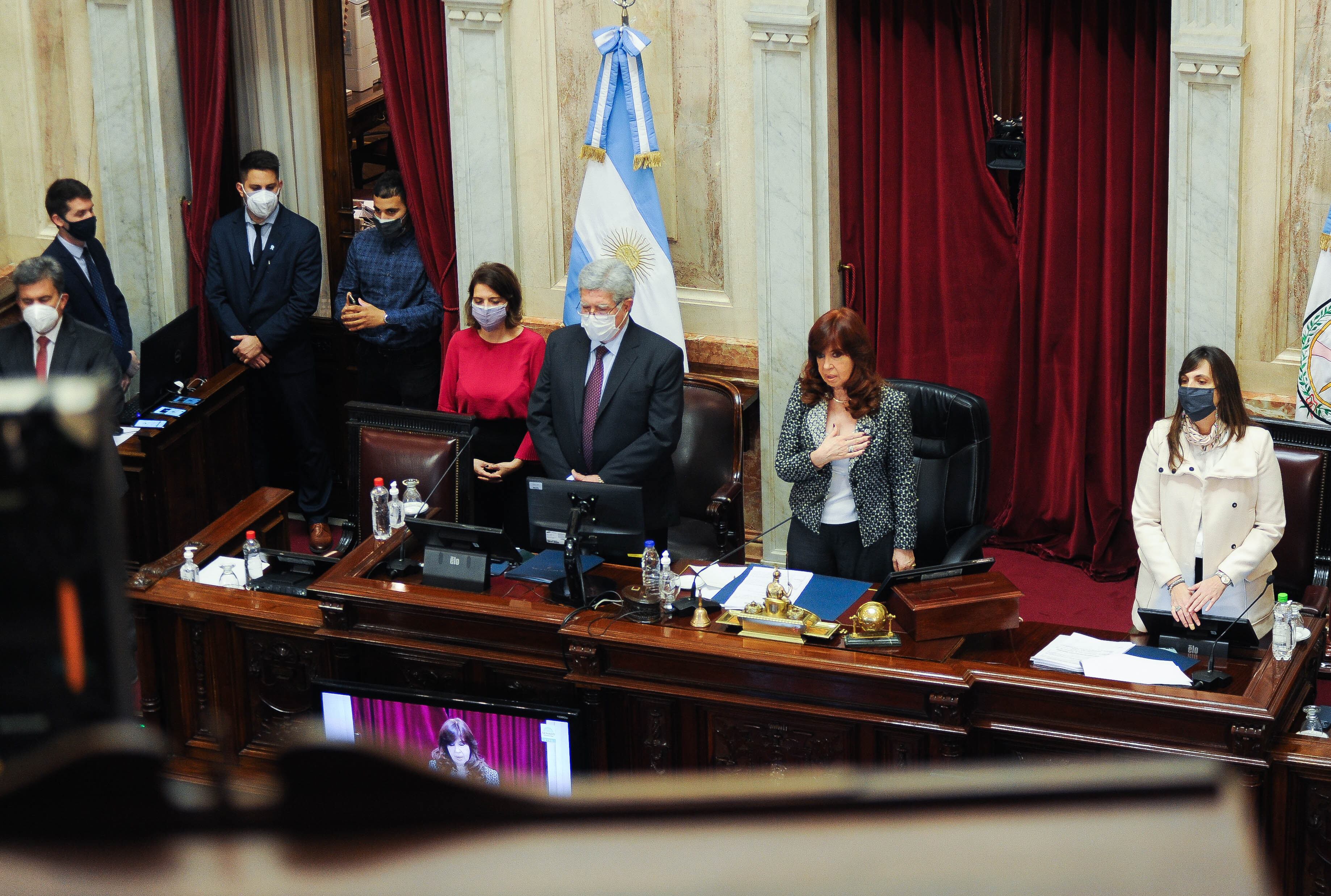 Cristina Fernández de Kirchner durante la sesión en el Senado por la ley de Zonas frías y cupo laboral trans Foto Federico Lopez Claro