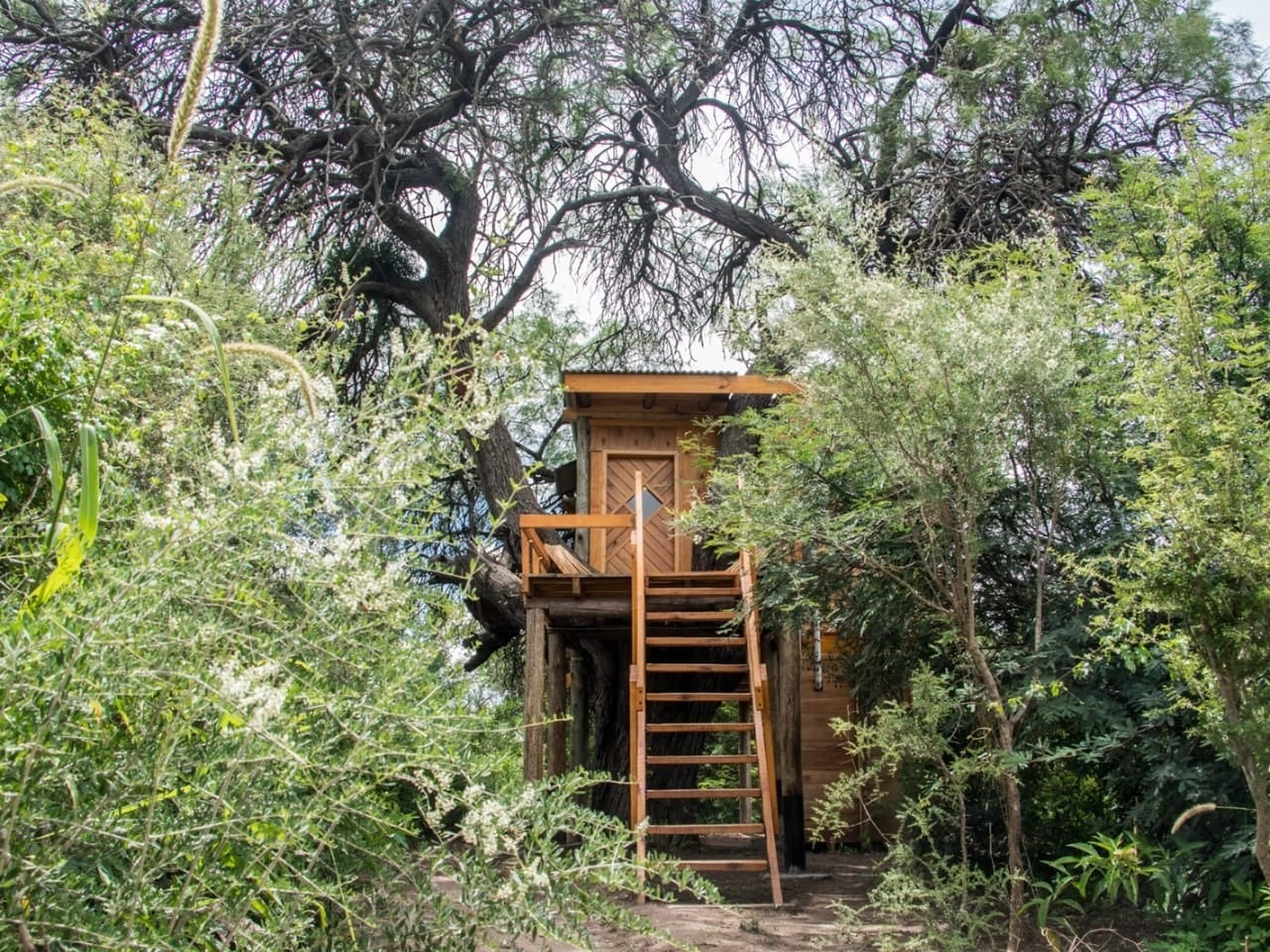 A través de Airbnb, los dueños de la Tiny House alquilan su propiedad como parte de una experiencia natural y diferente.