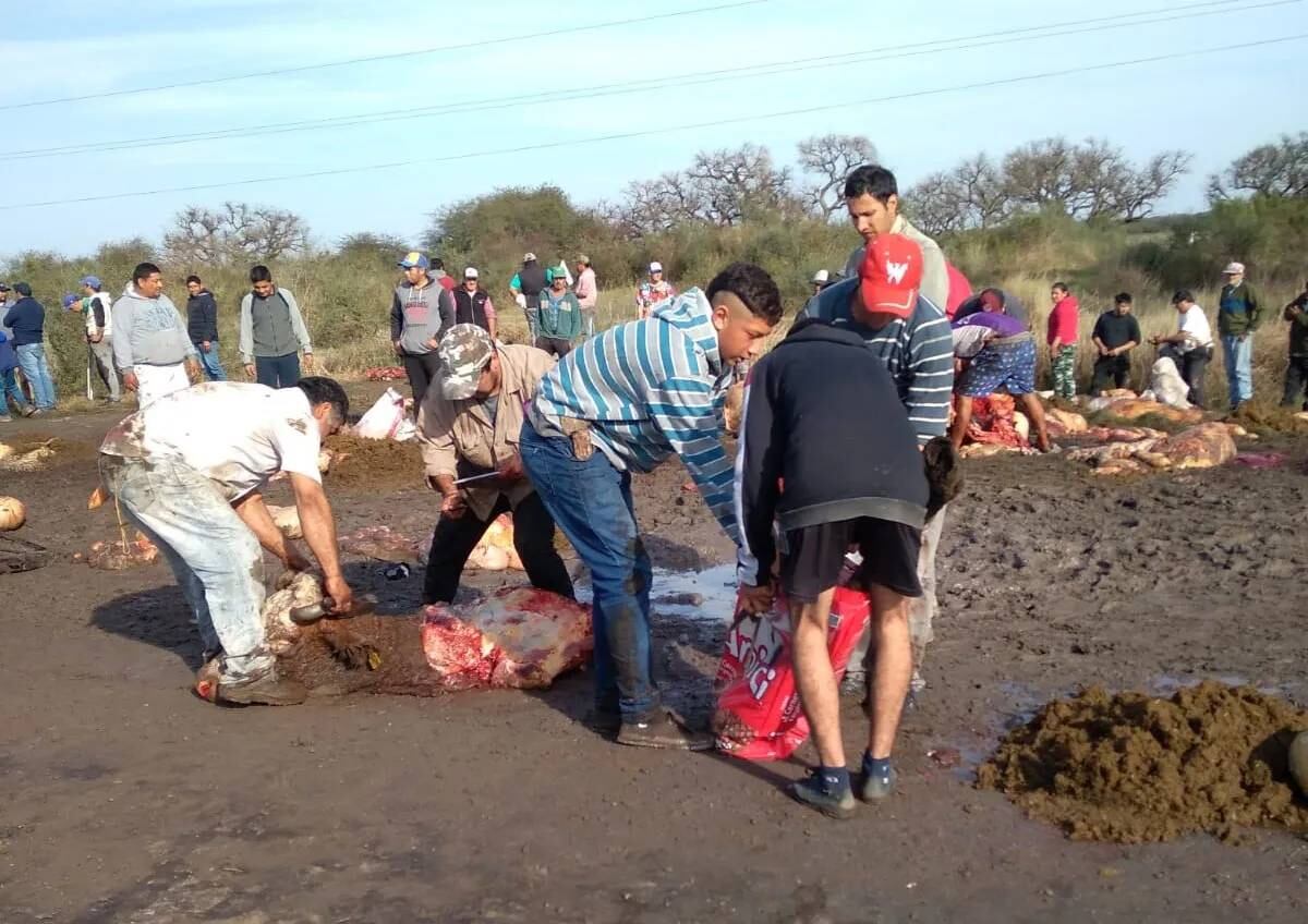 La faena se prolongó durante varias horas en el barro y bajo el sol.