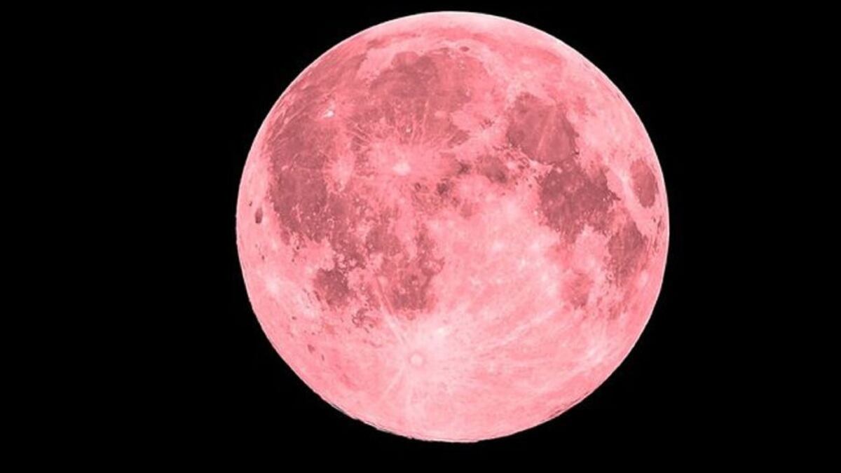 Luna Rosa de abril 2024: cómo verla y a qué hora desde Argentina