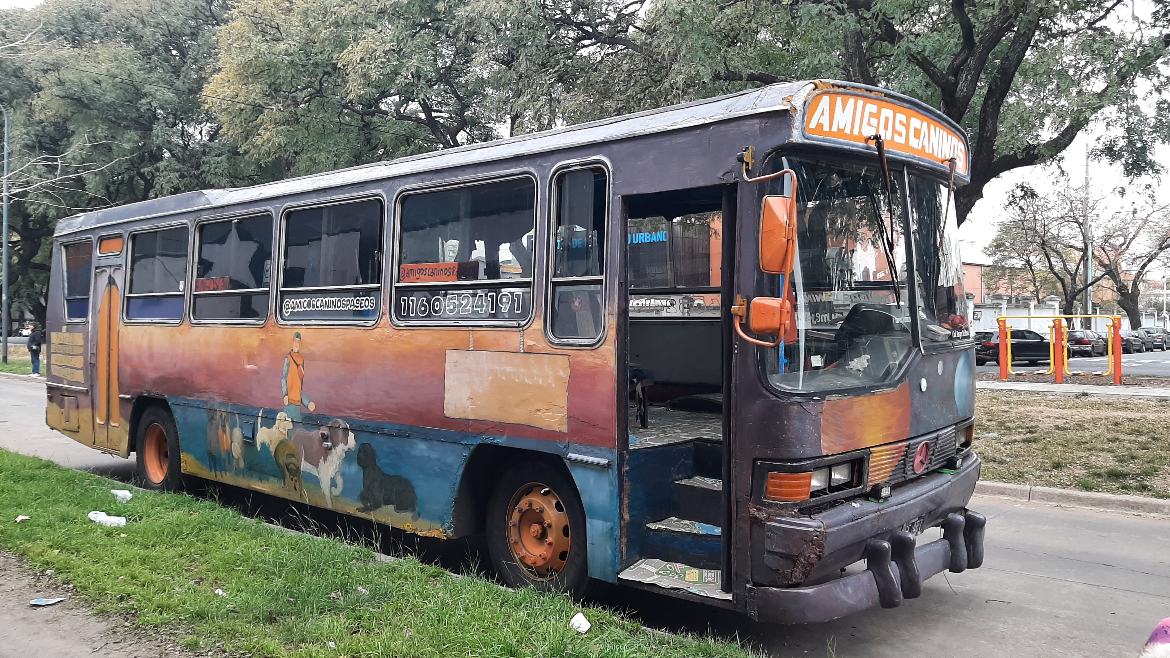 El colectivo de amigos caninos.