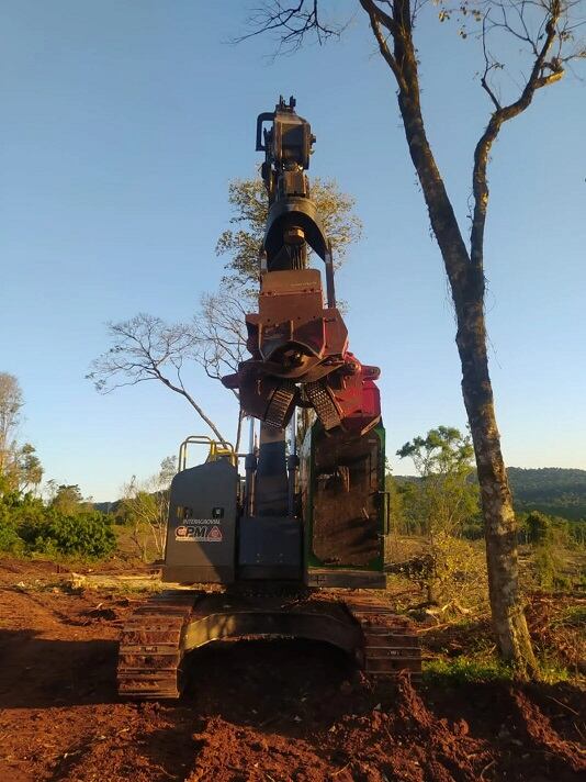 Montecarlo: desmonte ilegal podría acarrear multas de hasta $30 millones.