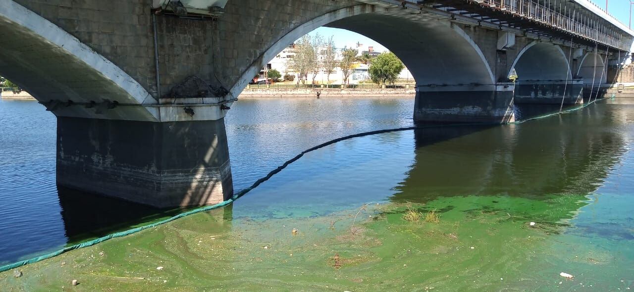 Una de las recientes medidas del "Plan de mitigación" en el lago San Roque. 