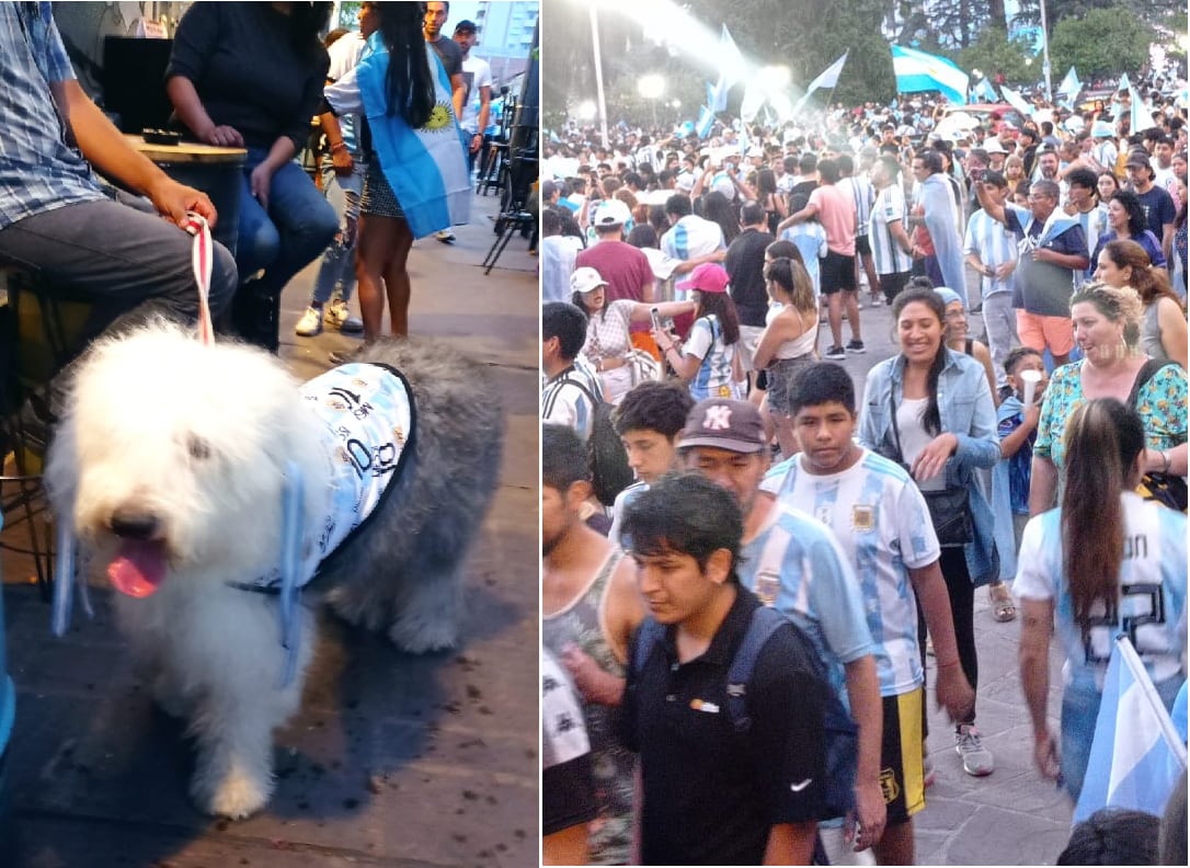 Un colorido clima de festejo copó la ciudad, después de que Lautaro Martínez decretara el triunfo de la Selección nacional ante Países Bajos.