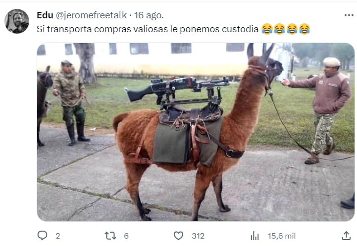 La llama cadete que causó todo tipo de comentarios.