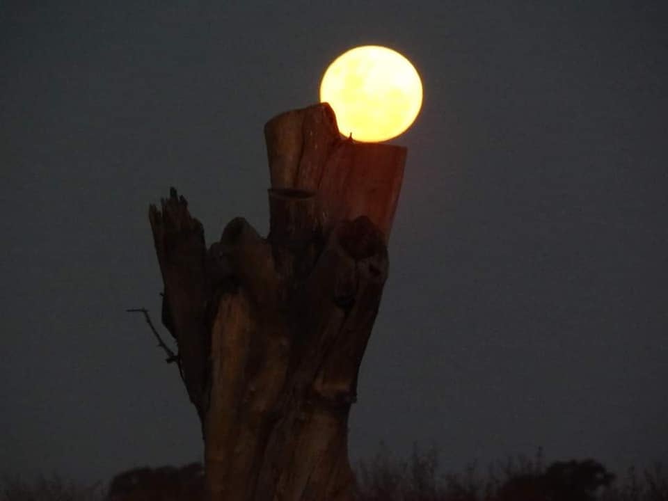 Luna llena en San Luis.