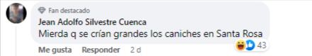 Comentario original.