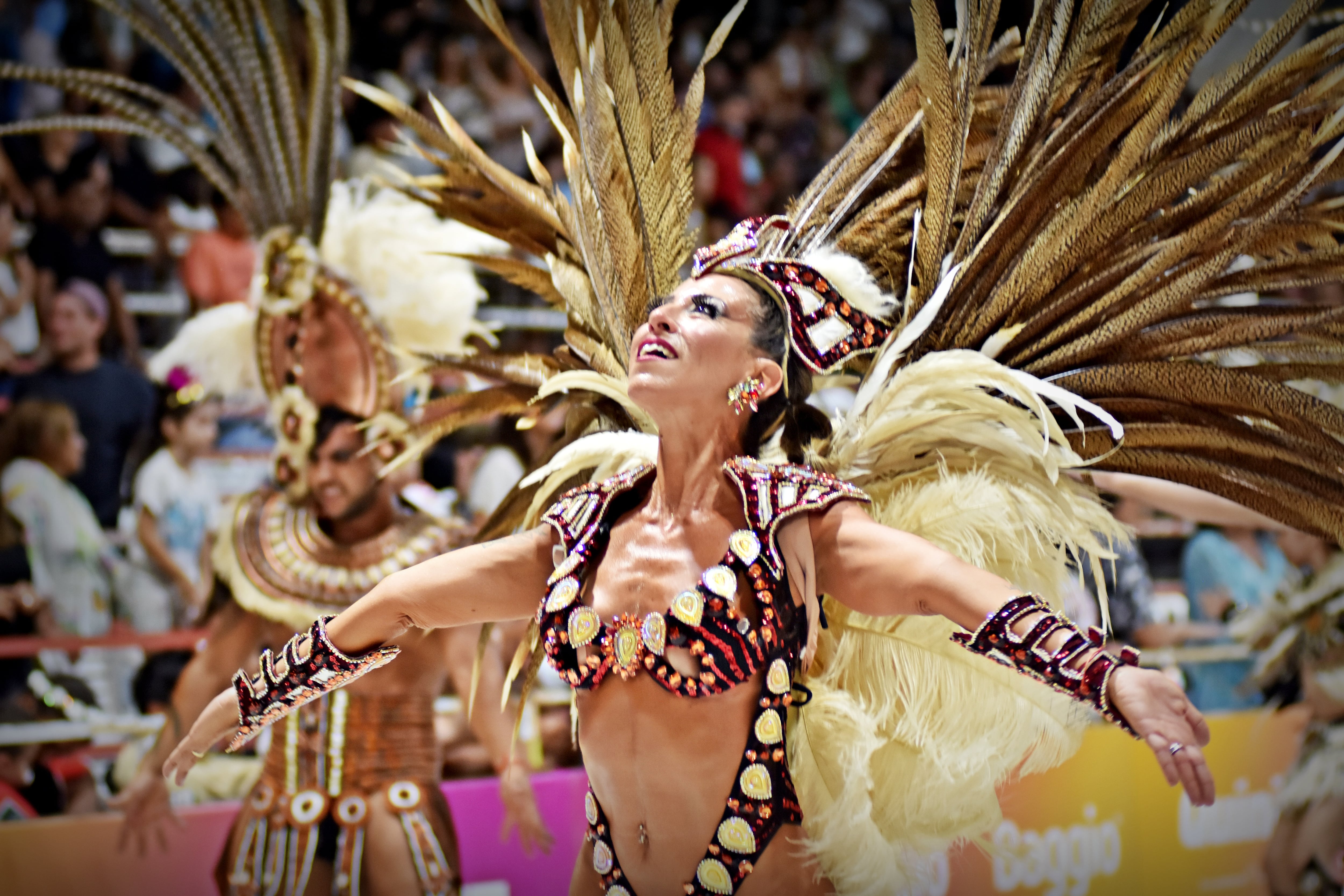 Carnaval del País - Gualeguaychú