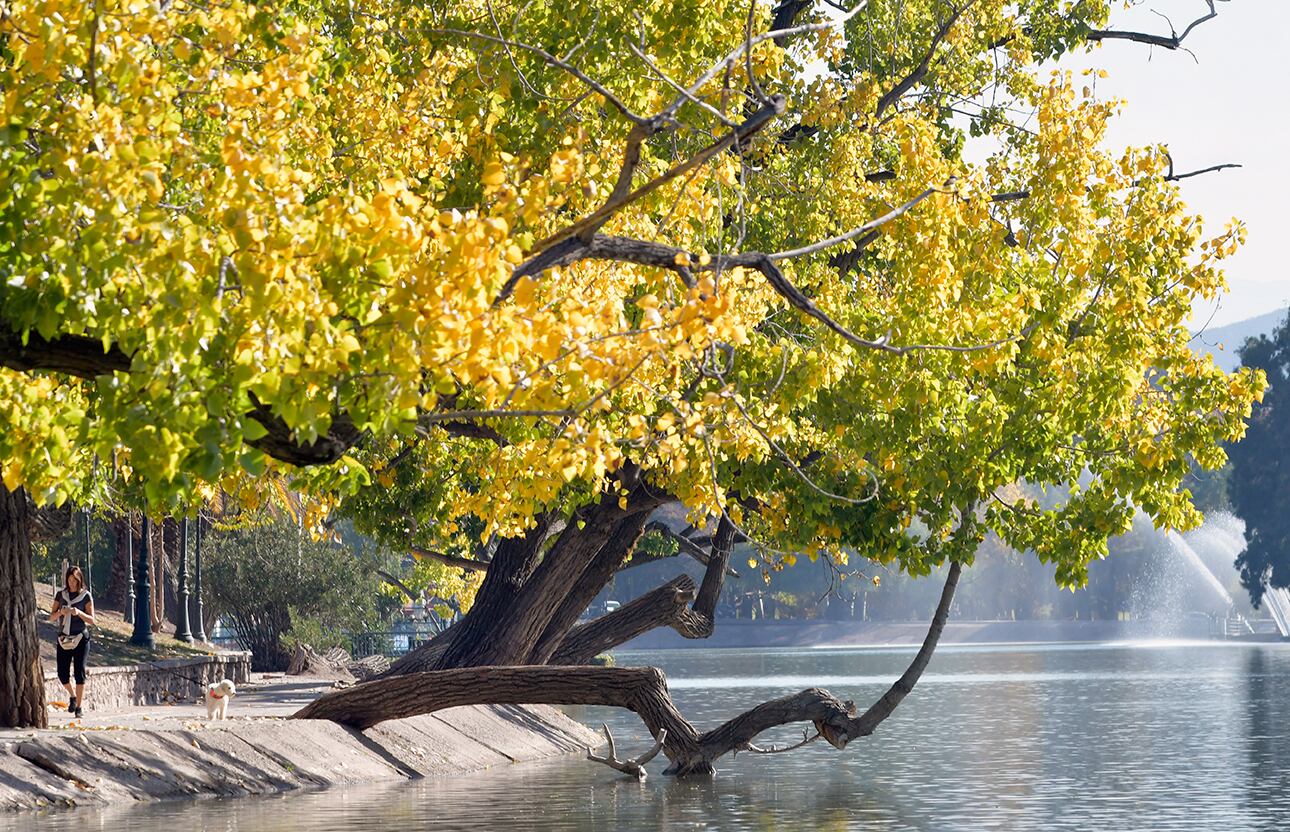 Otoño en Mendoza en el Parque General San Martín

Foto: Orlando Pelichotti