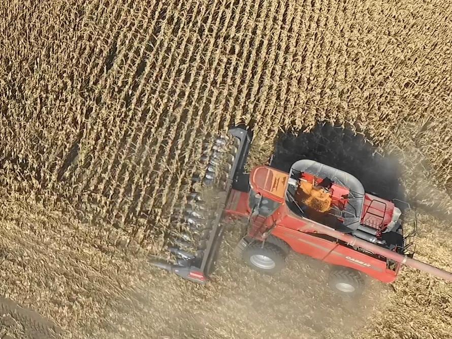 Además de las medidas contra la importación, se facilitará la prefinanciación de aquellas empresas que exporten, sobre todo las cerealeras. 