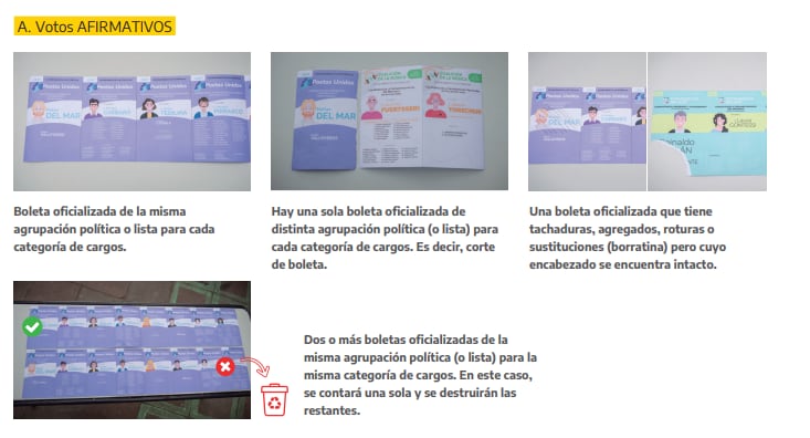 Captura del manual de la CNE.