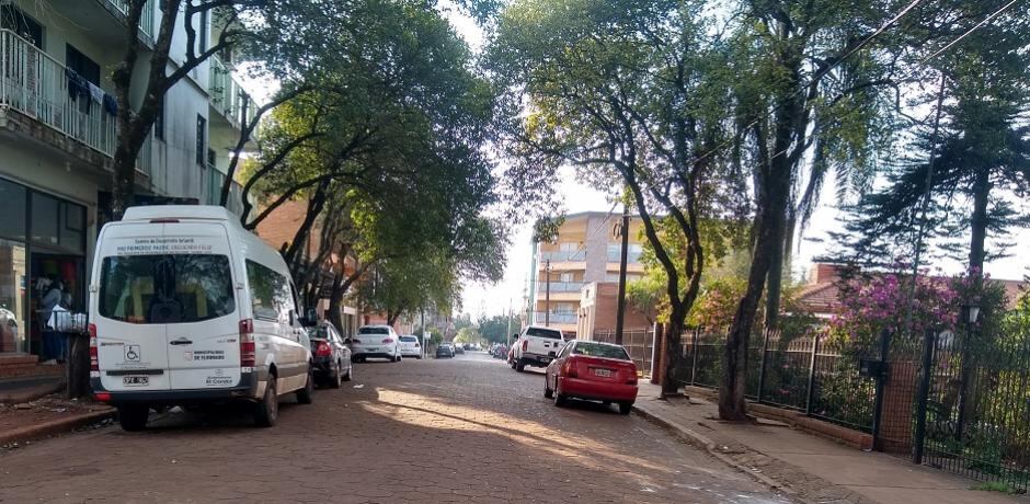 Tras varias gestiones, lograron internar al joven que atemorizaba a los vecinos en Eldorado.