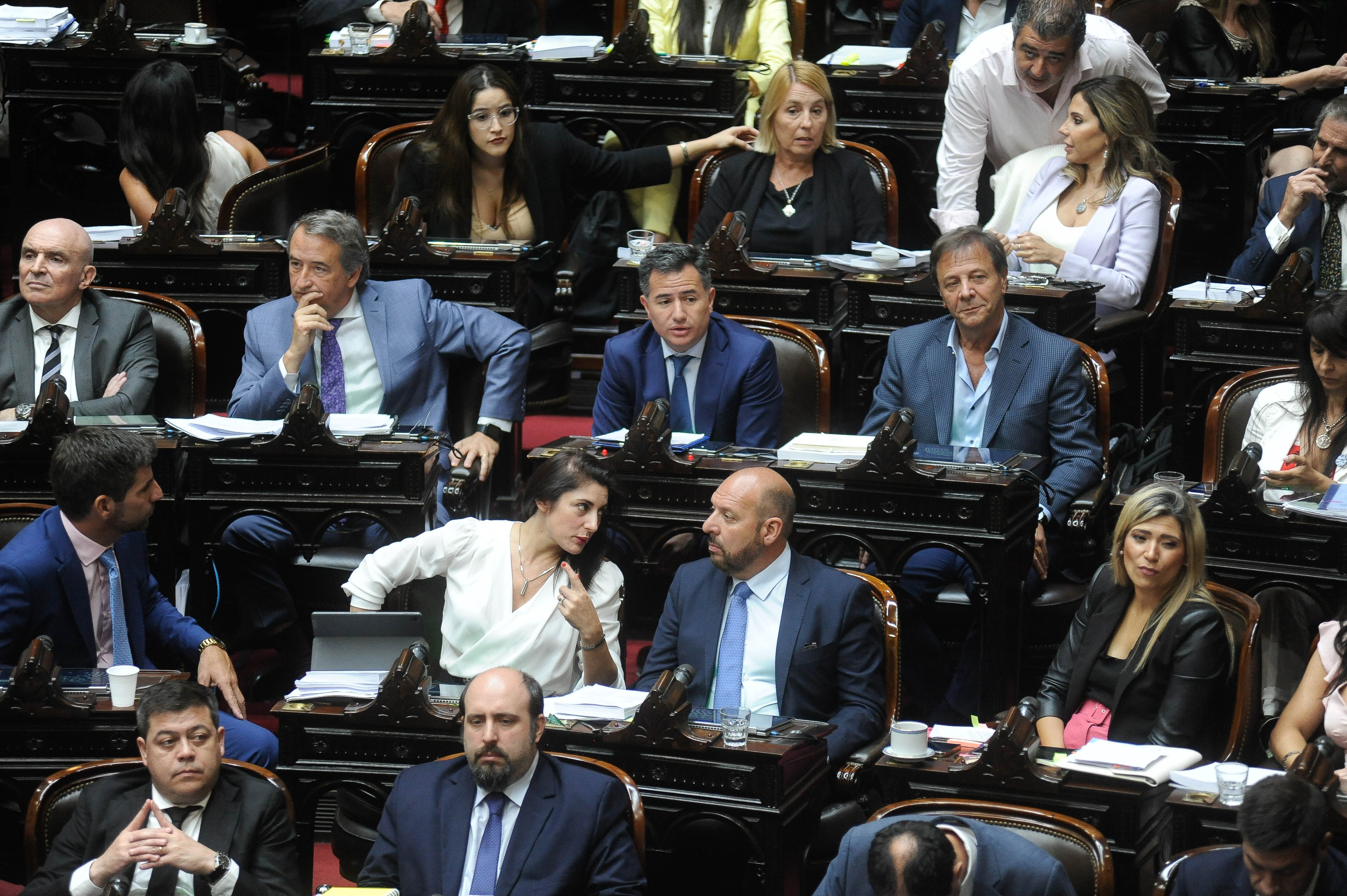 La Libertad Avanza en el debate. Foto Federico Lopez Claro