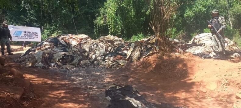 Puerto Rico: incautan toneladas de cueros en la costa del río Paraná.