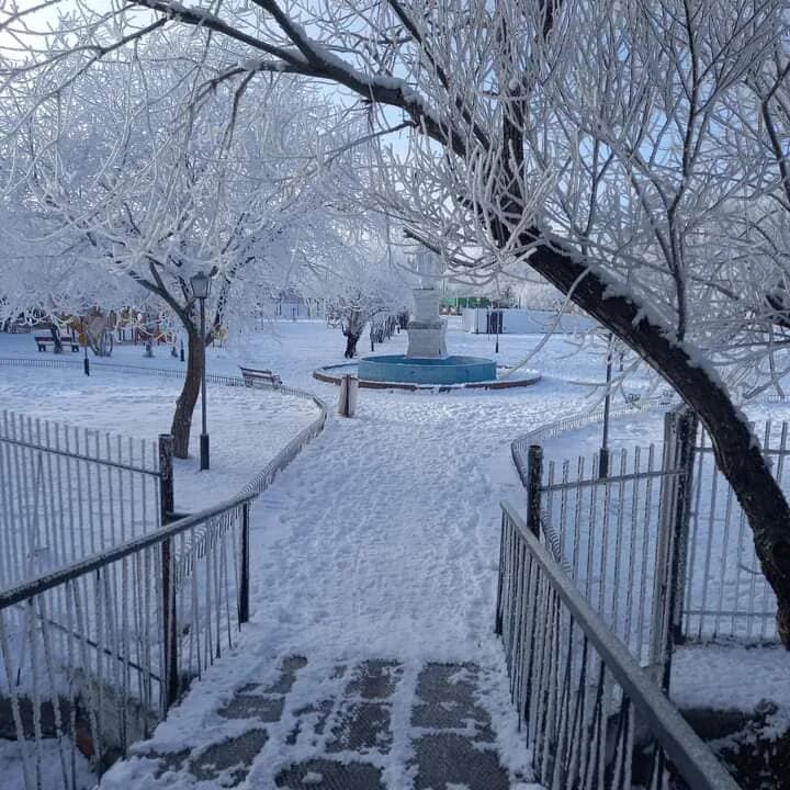 Las fotos de Chubut cubierto por la escarcha.