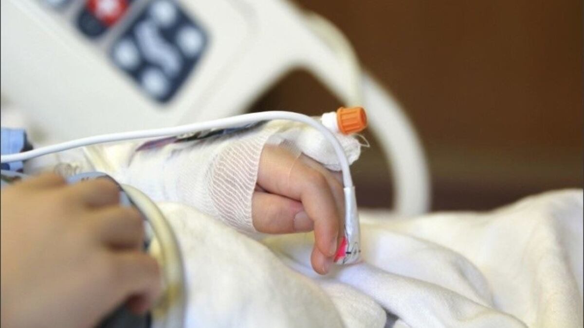 Feroz ataque de perros deja a 2 niños con heridas y hospitalizados en San Juan