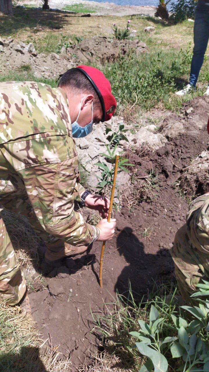 Efectivos del Ejército Argentino colaboraron en una nueva jornada de forestación en Carlos Paz. (Foto: prensa / Municipalidad VCP).