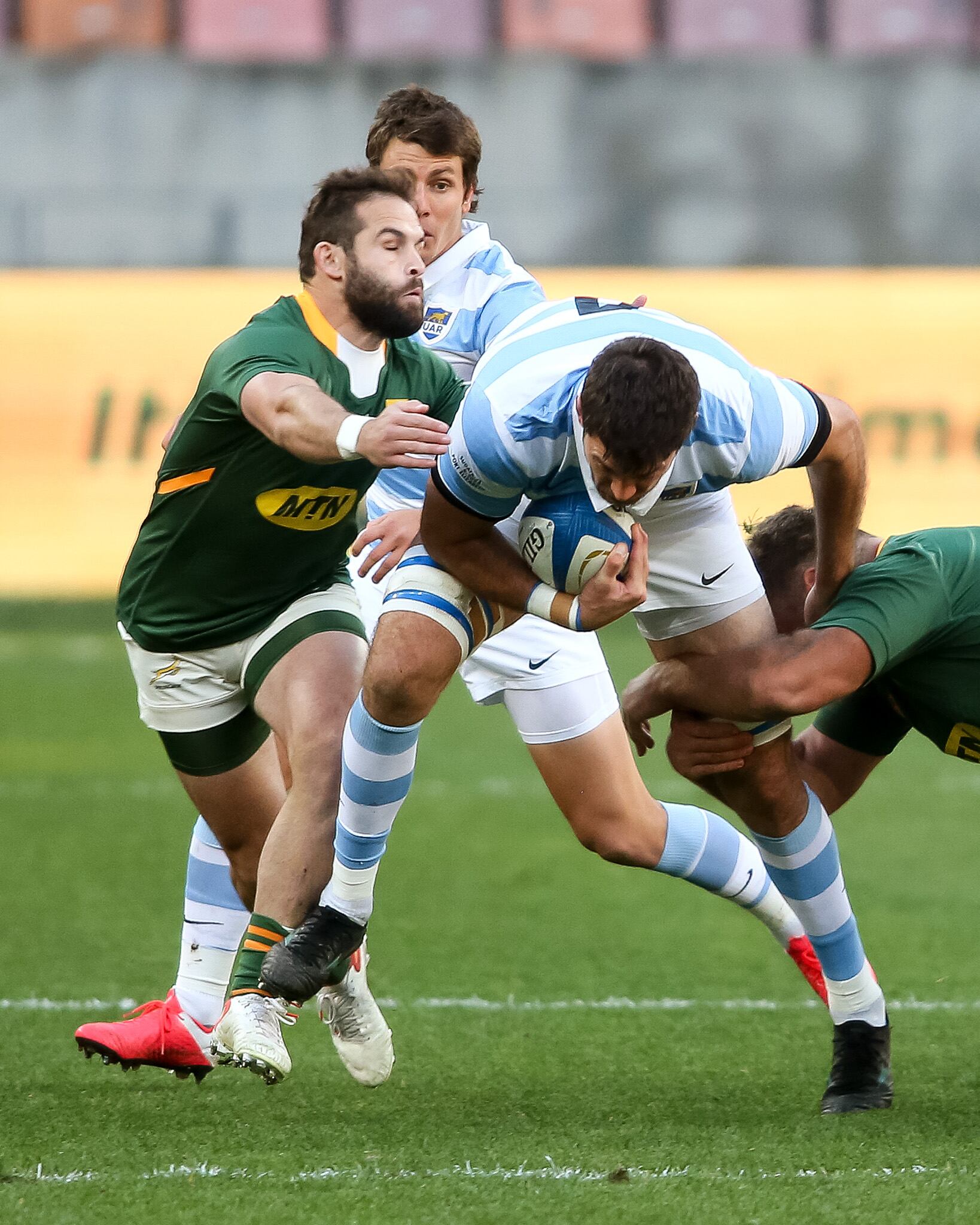 Rugby Championship: Los Pumas en su segundo encuentro con los Springboks