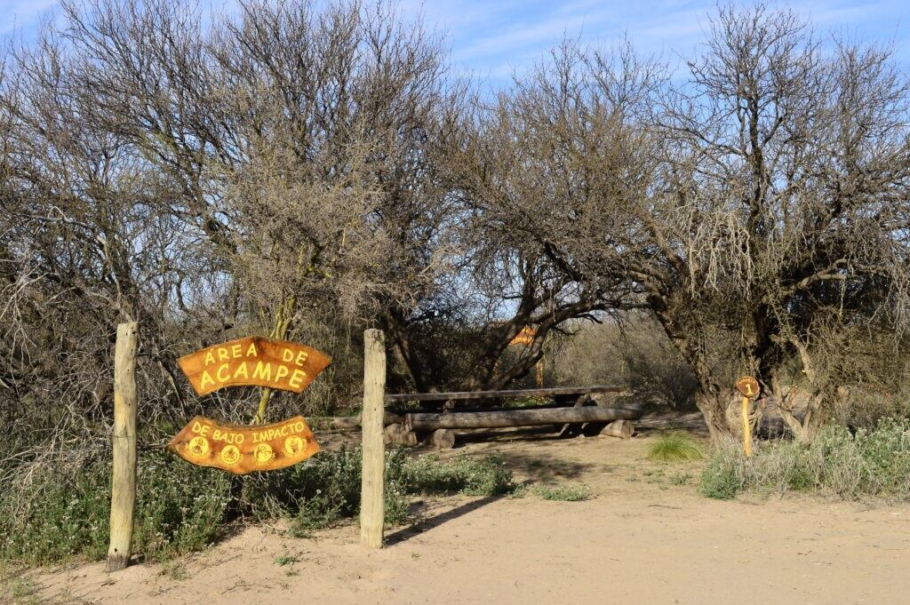 Uno de los sectores autorizados para acampar en la Reserva de Biósfera de Ñacuñán. Gentileza MSR