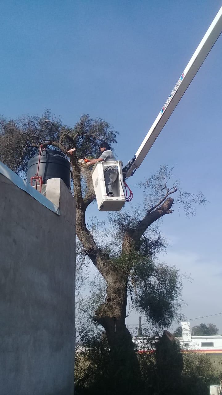 cordón cuneta de calle Formosa y en la reforestación en varios puntos de la ciudad