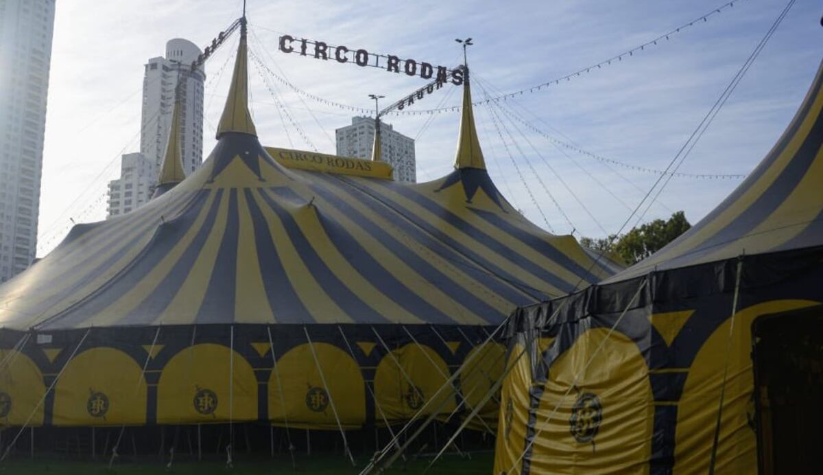 Mudaron la carpa del circo Rodas para montar un centro de test de coronavirus