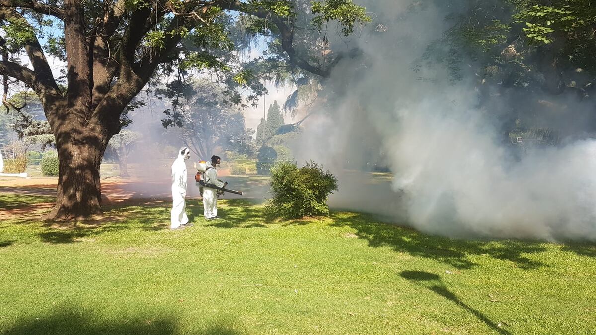 Invasión de mosquitos en Tres Arroyos: fumigarán plazas y lugares verdes de forma terrestre