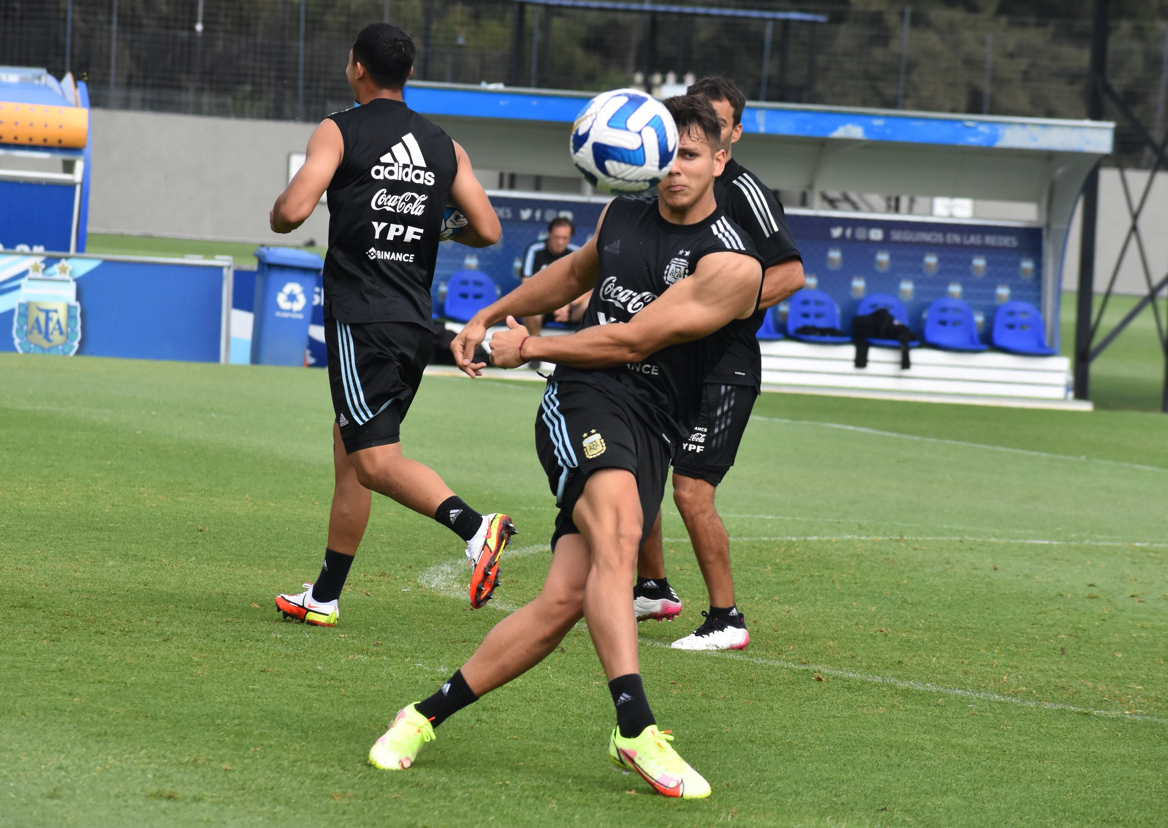 Argentina no gana el Sudamericano desde el año 2015.