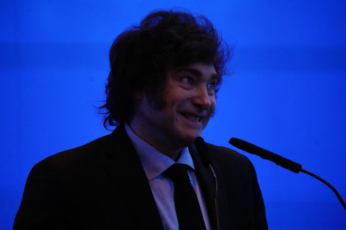 Javier Milei: “En 2025 tendremos otro Congreso y vamos a meter todas las reformas que no pudimos ahora”