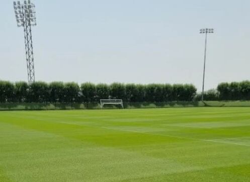 El césped es el mismo de los estadios