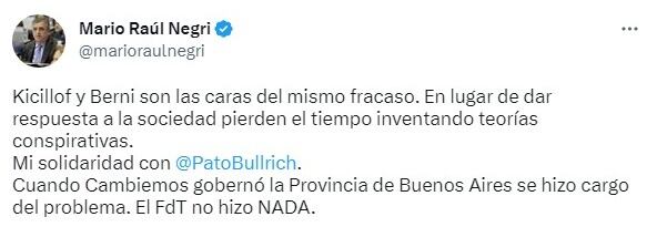 El tweet de Mario Negri.