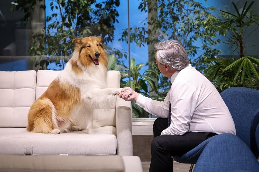 Dylan, el perro presidencial