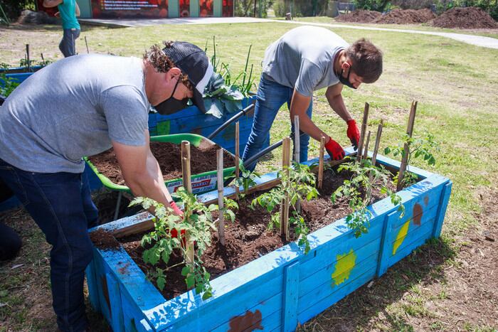 Compostaje de restos verdes en la Ciudad: cómo convertir los residuos otra vez en recursos.