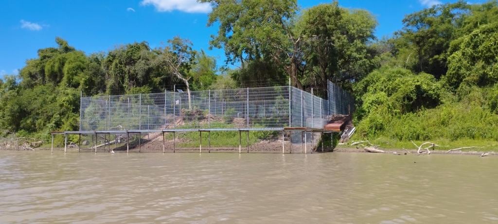 El corral preparado para la reintroducción de Yverá.