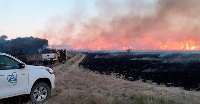 Dotaciones de bomberos, Defensa Civil y brigadas trabajaron para controlar el fuego.