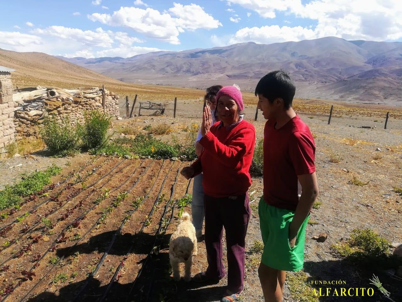 La Fundación Alfarcito instala riego por goteo a productores de la Puna