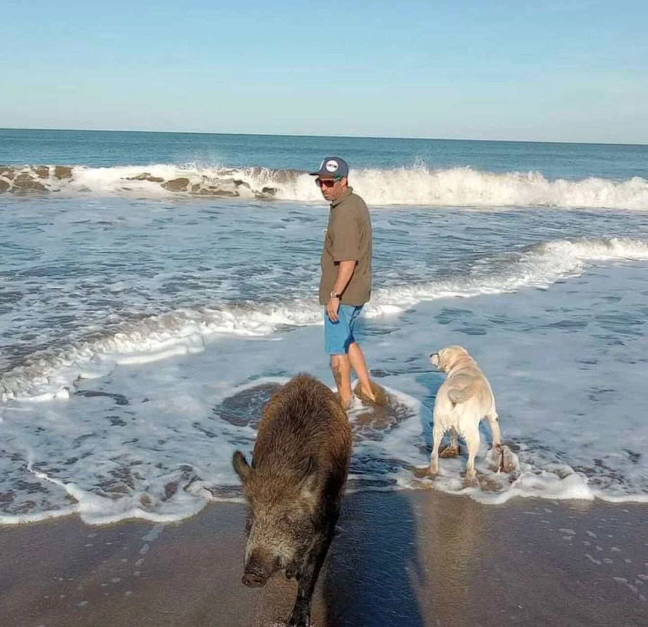 Adrián rescató a Gervasio luego de haber sido cazado, hace un año y medio.