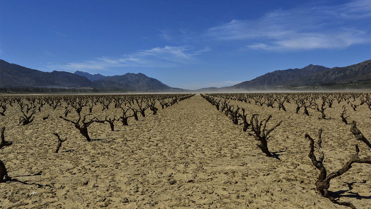 Cambio climático, falta agua y búsqueda de otras zonas para 
cultivar. 