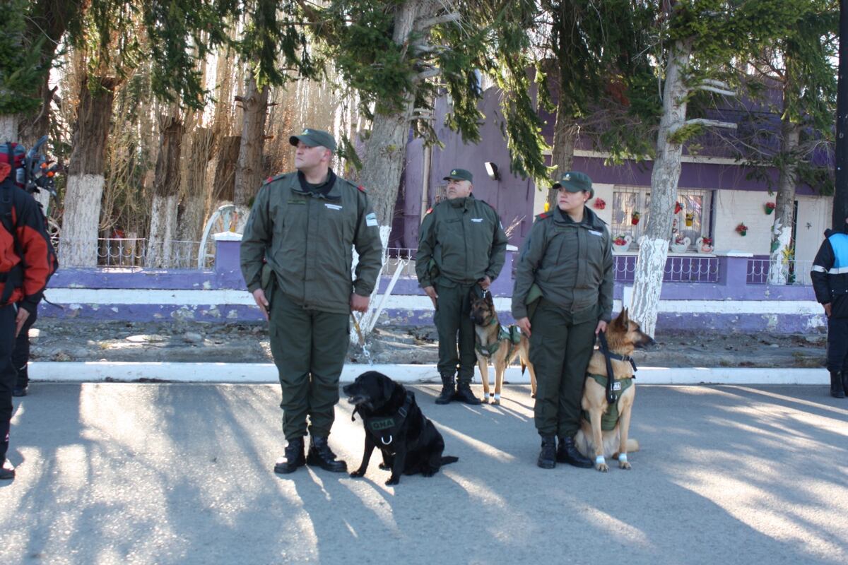 Qué pasará con Pecky, la labradora de Chubut que se jubiló de Gendarmería Nacional