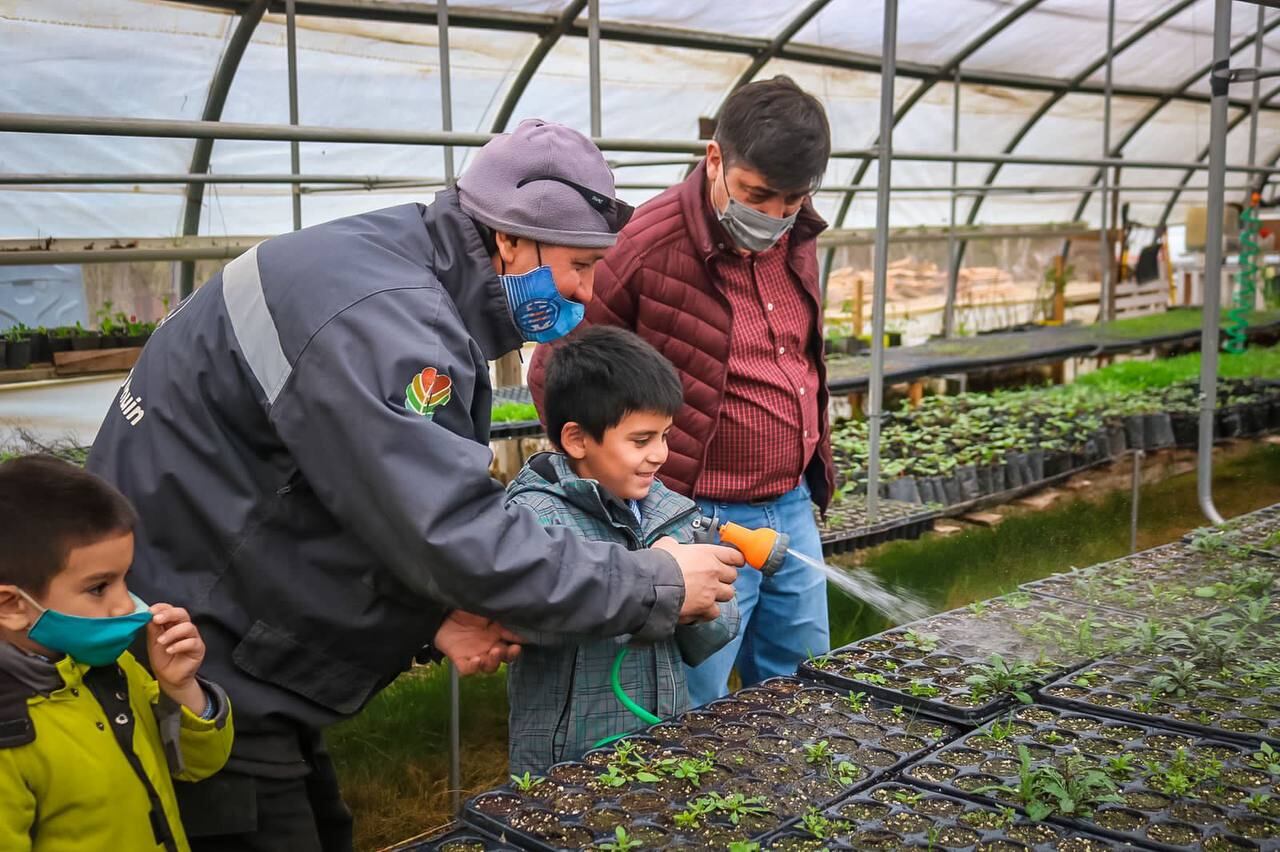 Los niños y niñas compartieron las actividades con el personal del vivero. Aprendieron la importancia de cuidar las plantas, su mantenimiento y cuidado.