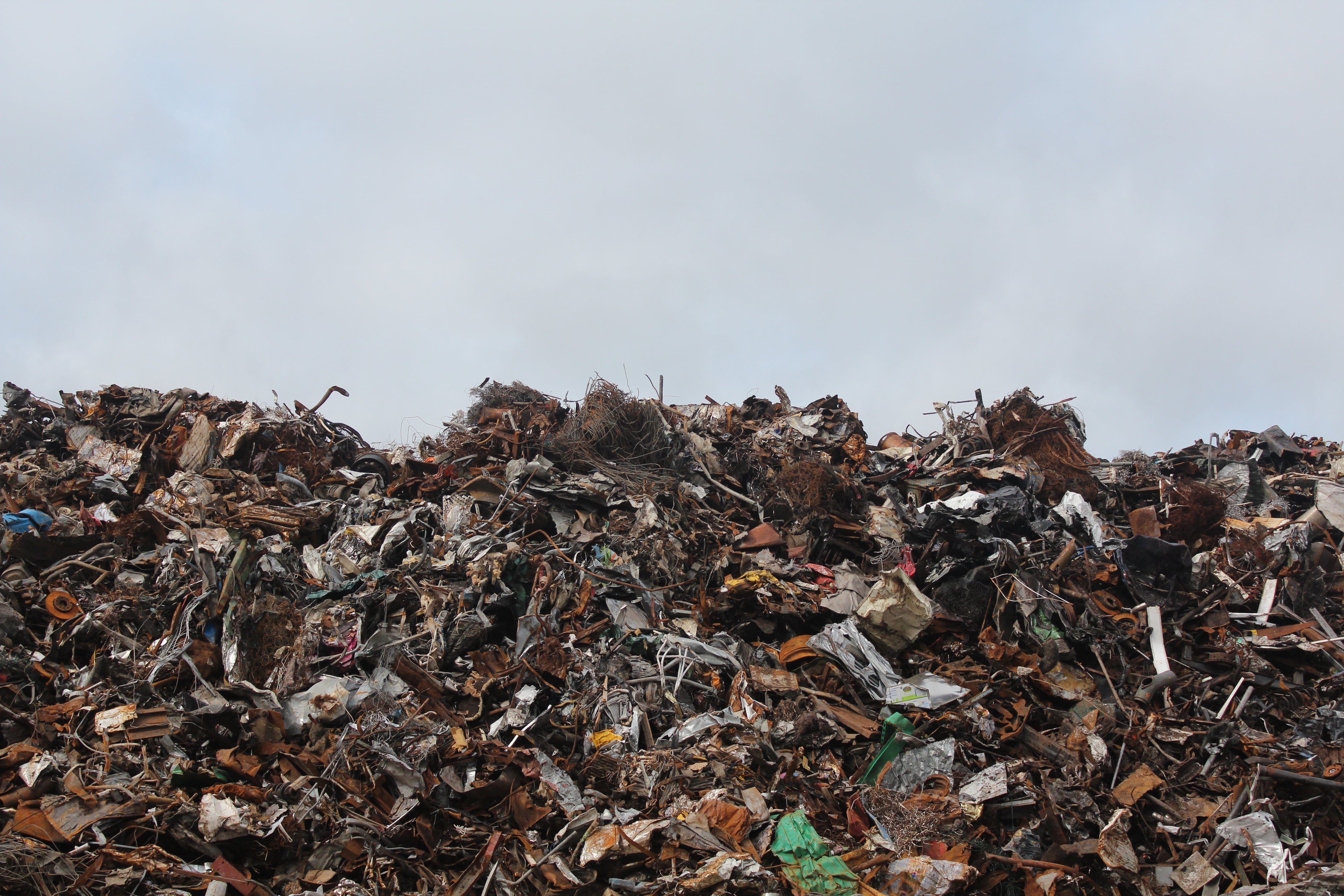 La mitad de los porteños separan su basura a diario.